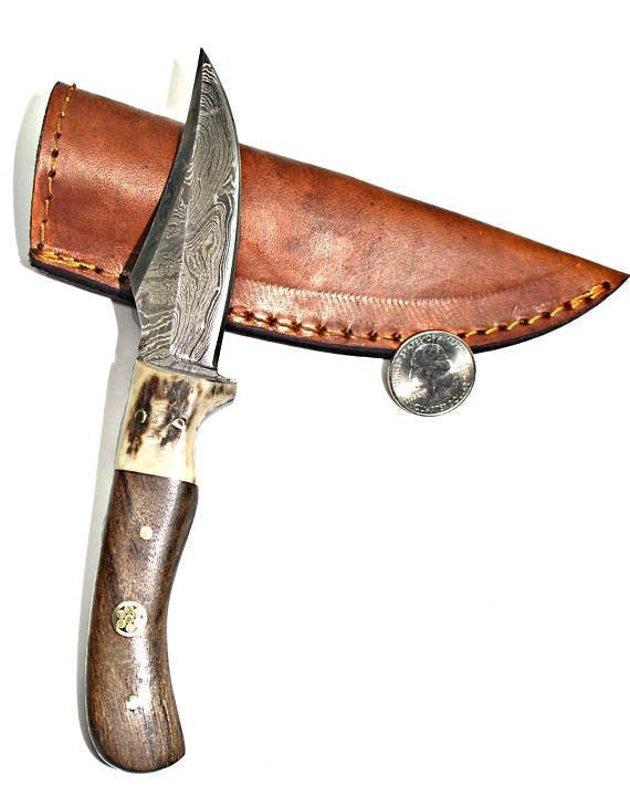 Damascus Steel Skinner - Image 4
